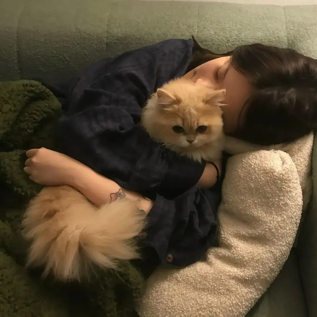 头像｜适合长期不换的头像