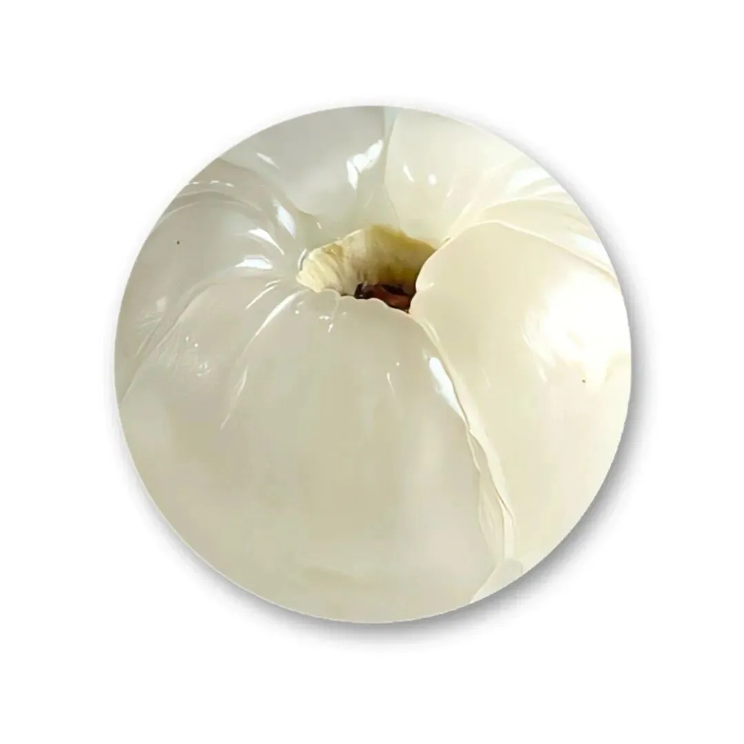 头像｜适合长期不换的头像