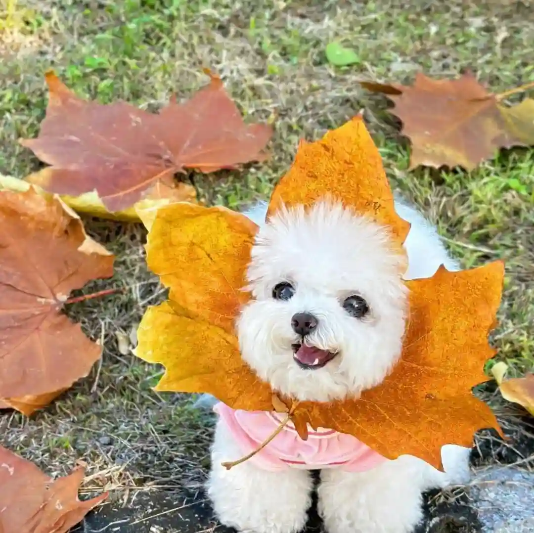 头像｜微信头像 百里挑一