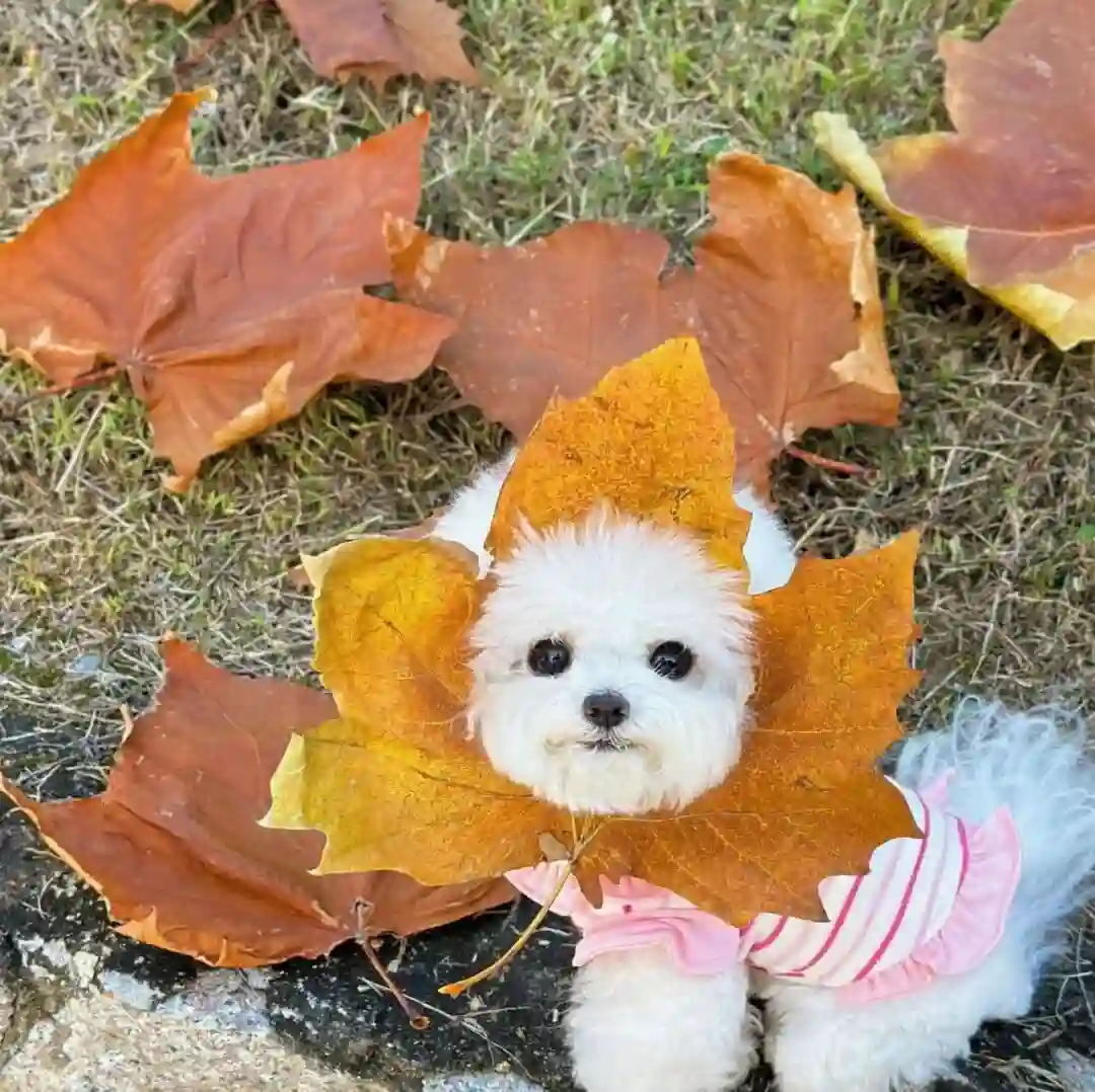 头像｜微信头像 百里挑一