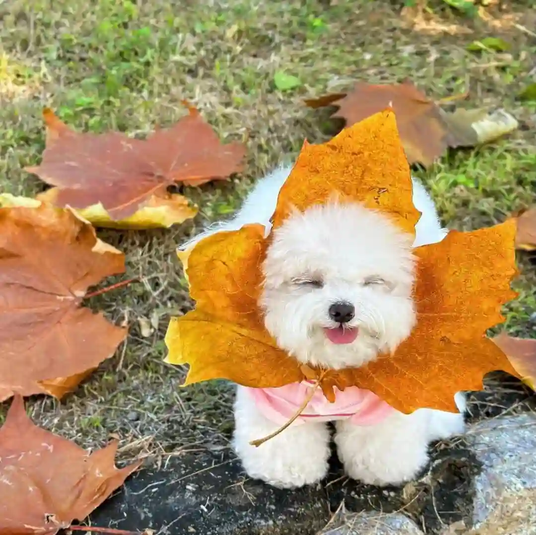 头像｜微信头像 百里挑一