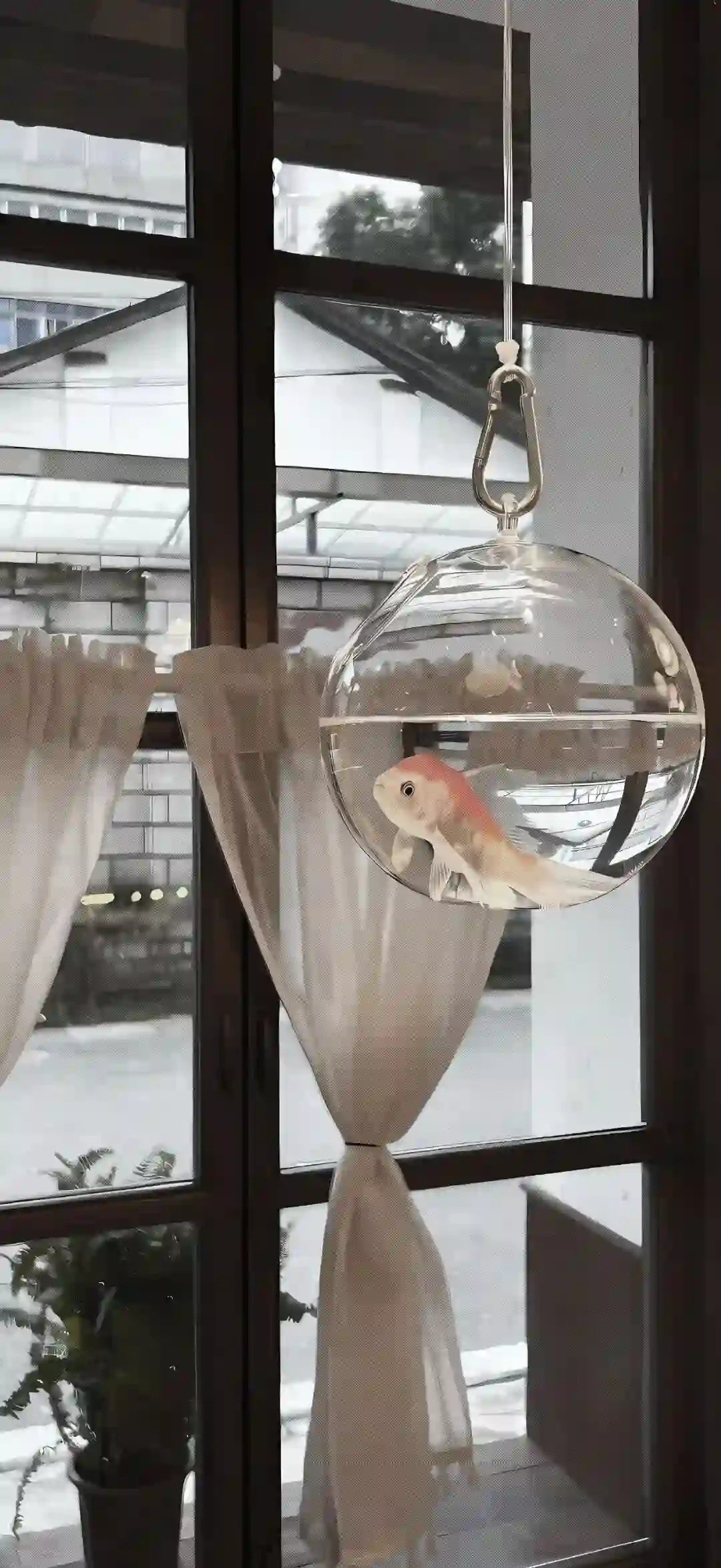 壁纸 ​​​​​​​​​​​​​| 4K全面屏超高清壁纸