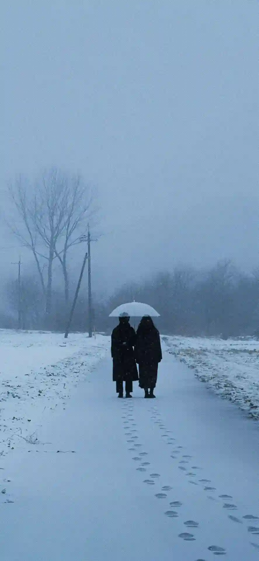 壁纸 ​​​​​​​​​​​​​| 4K全面屏超高清壁纸