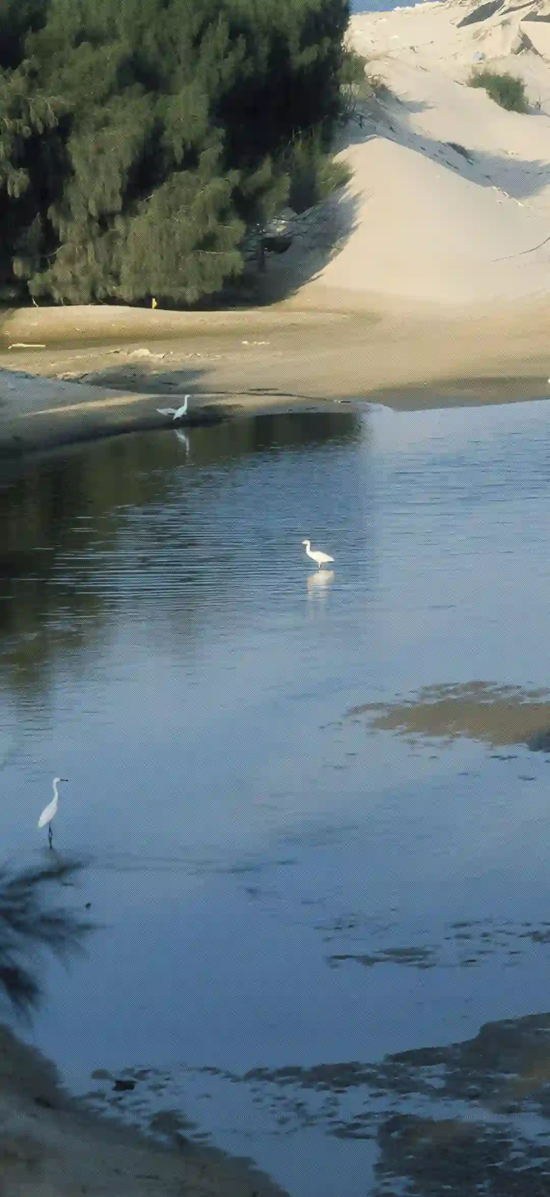 壁纸 ​​​​​​​​​​​​​| 4K全面屏超高清壁纸