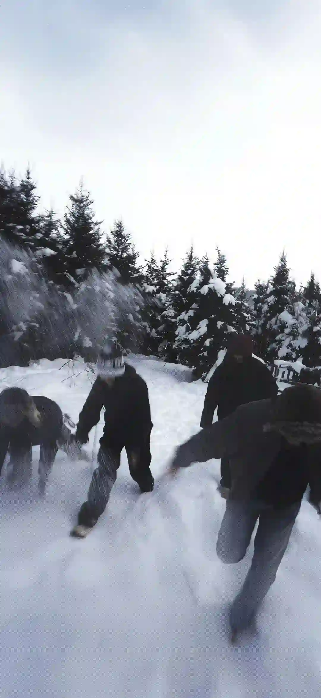 壁纸 ​​​​​​​​​​​​​| 4K全面屏超高清壁纸