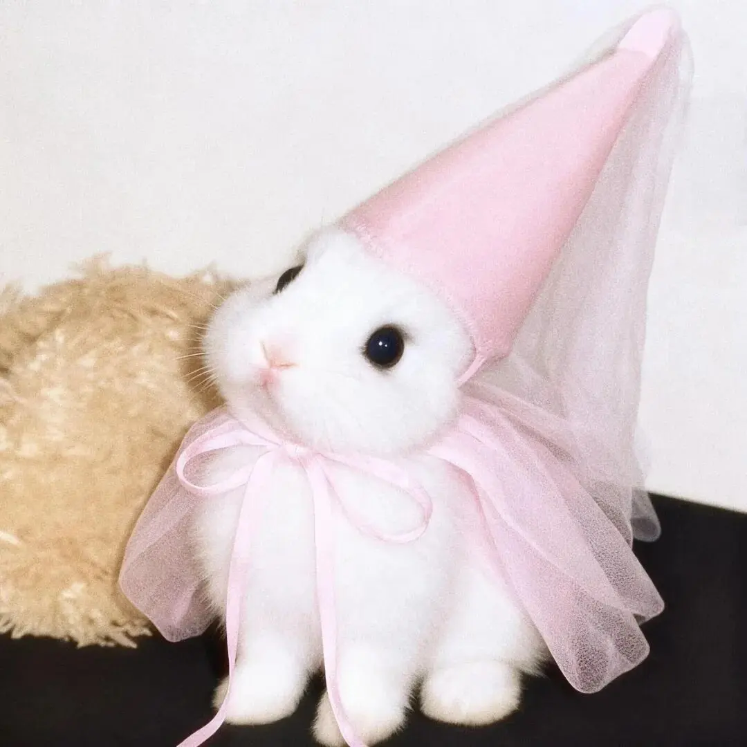 头像｜可以永久不换的微信头像