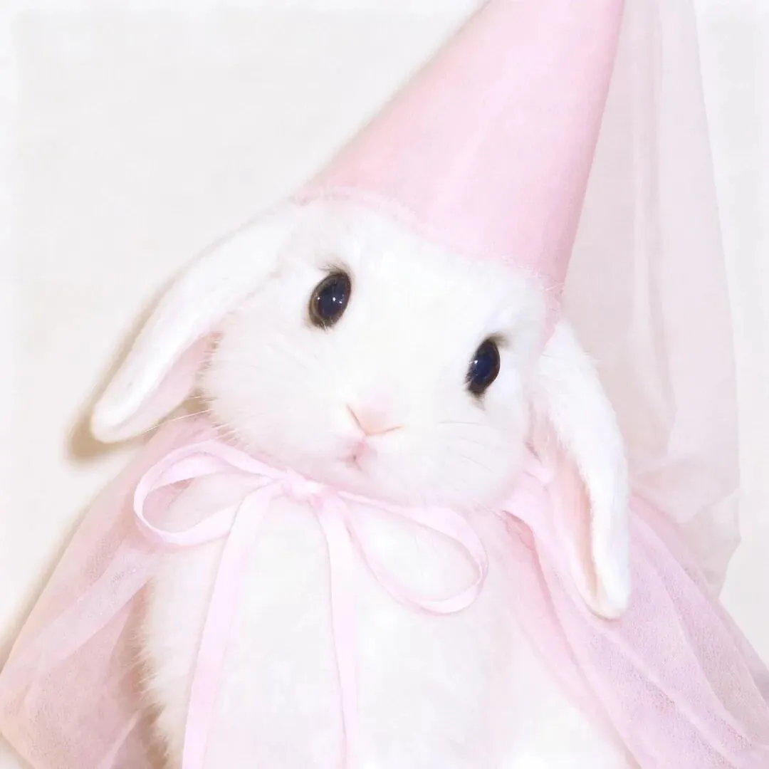 头像｜可以永久不换的微信头像