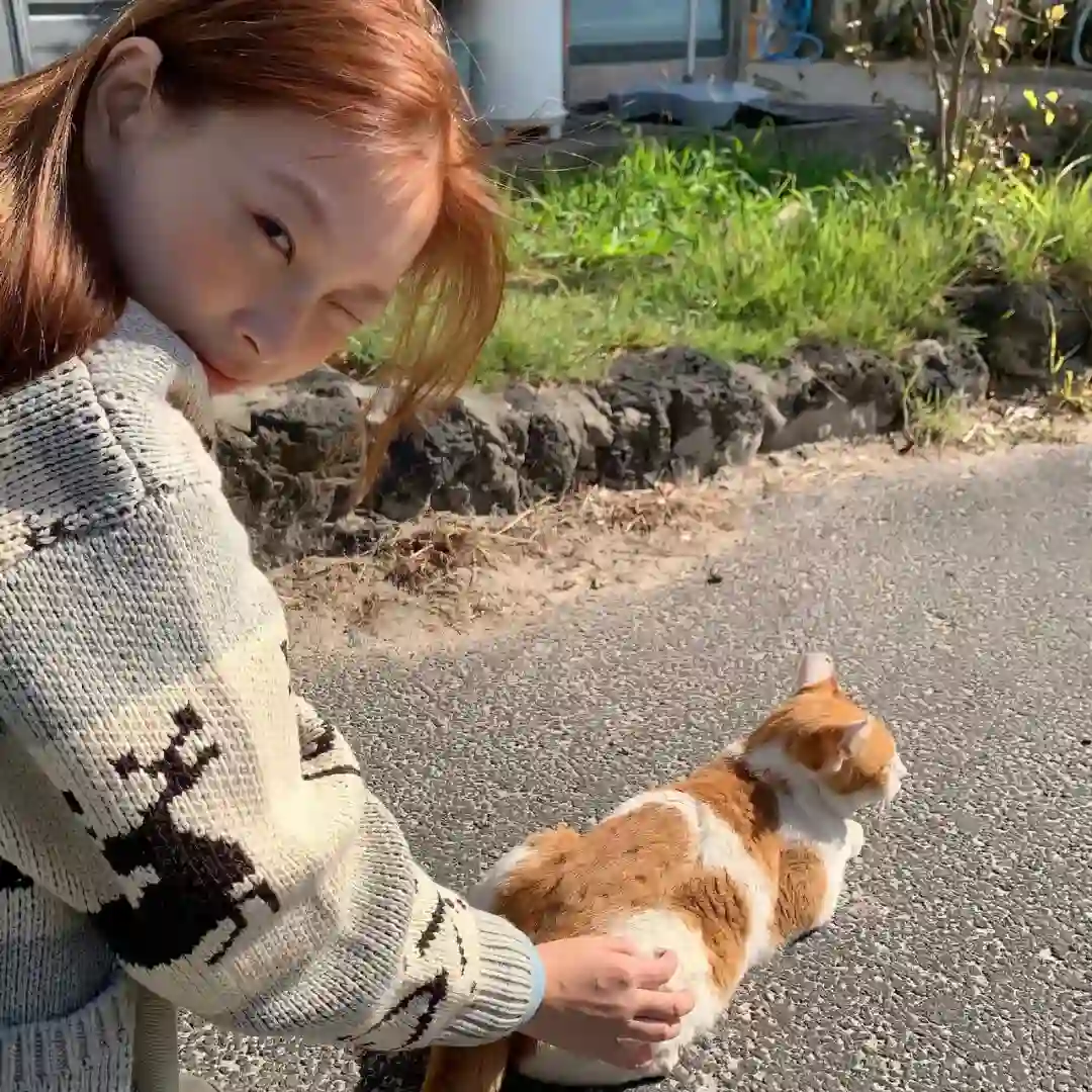 头像｜可以永久不换的微信头像