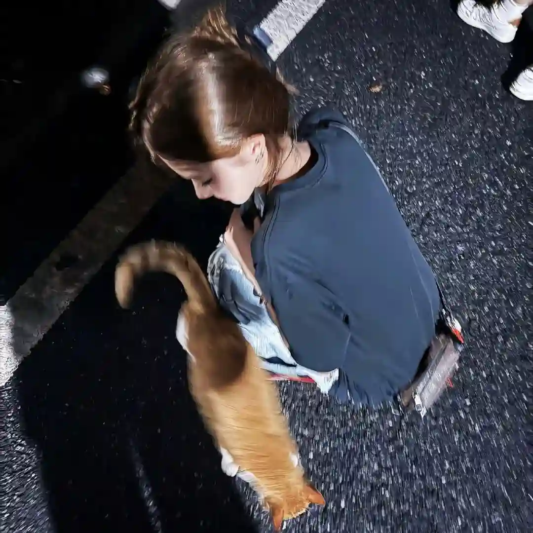 头像｜可以永久不换的微信头像