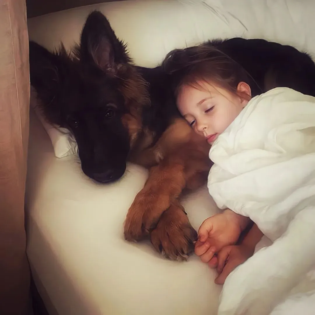 头像｜可以永久不换的微信头像