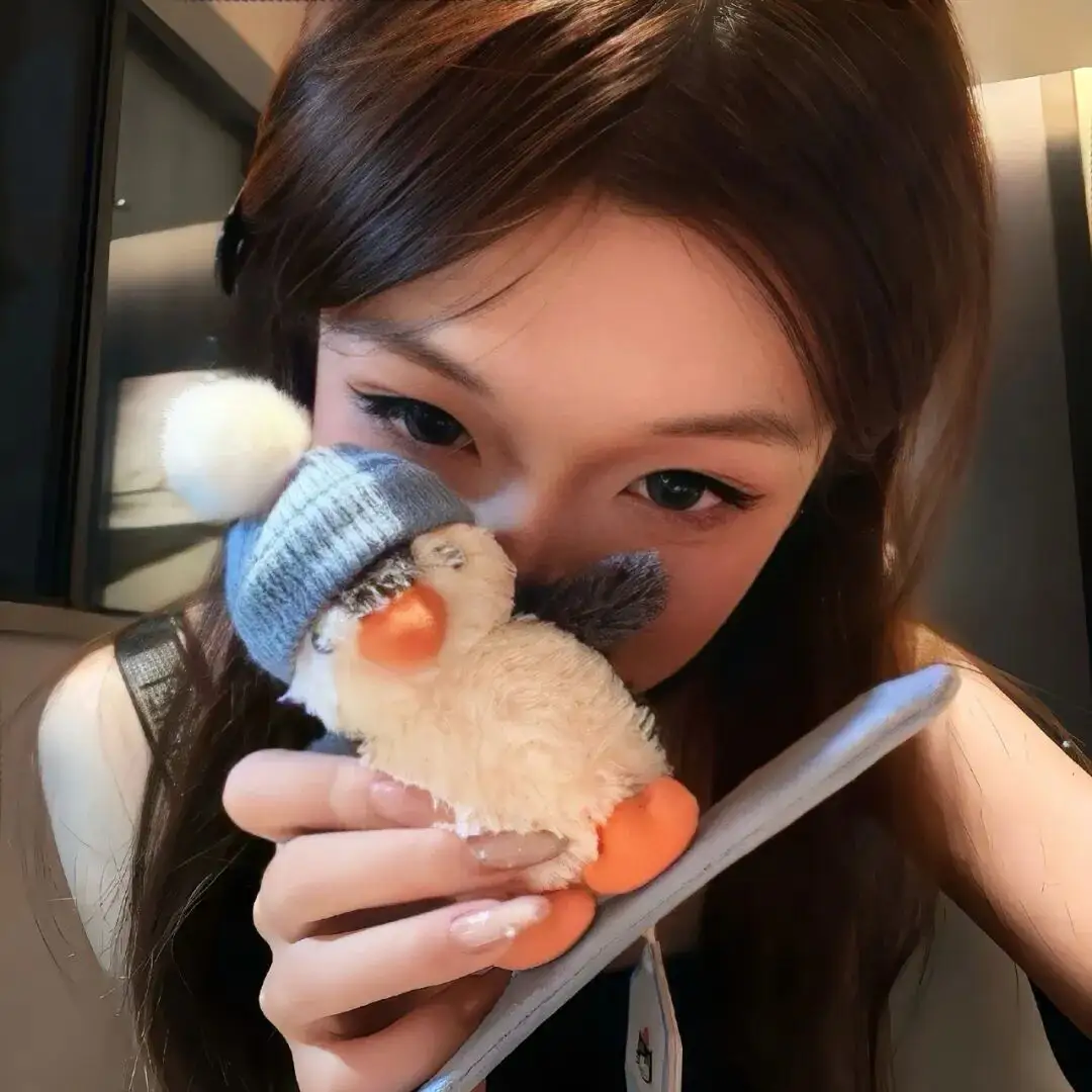 头像｜可以永久不换的微信头像