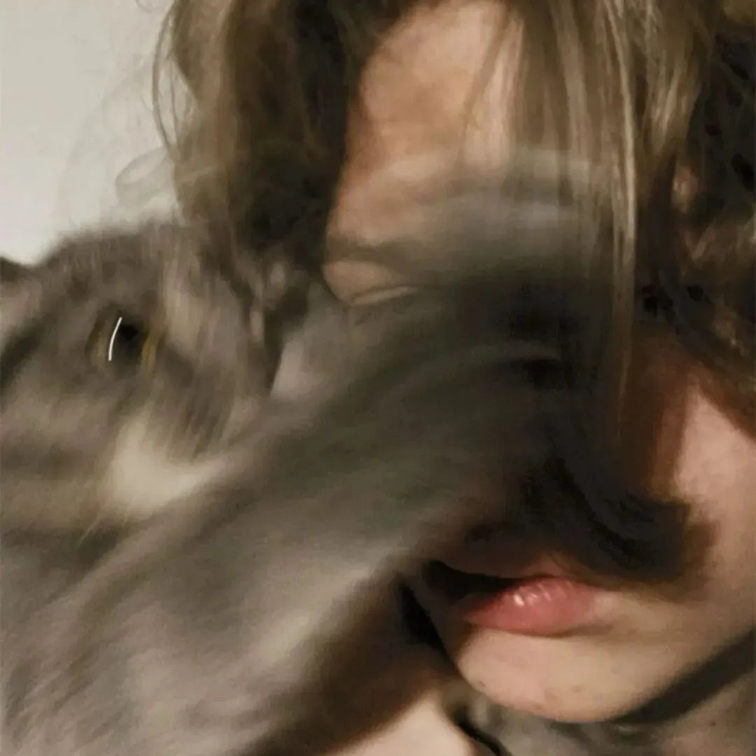 头像｜可以永久不换的微信头像