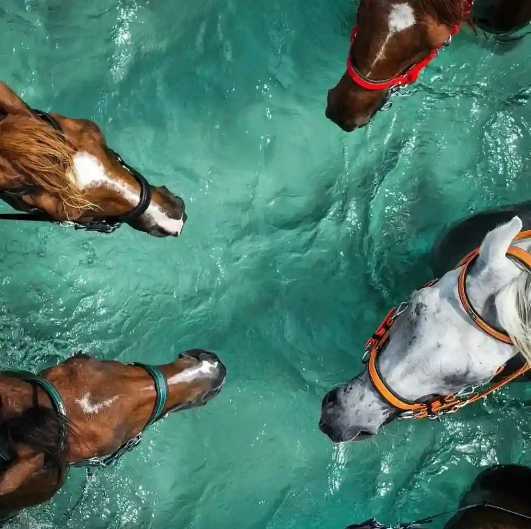 背景图 | 𝑾𝒆𝑪𝒉𝒂𝒕背景图