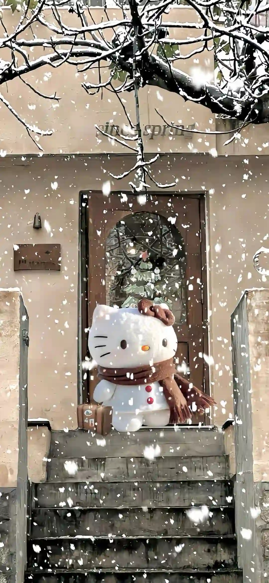 壁纸 ​​​​​​​​​​​​​| iOS26 全面屏壁纸