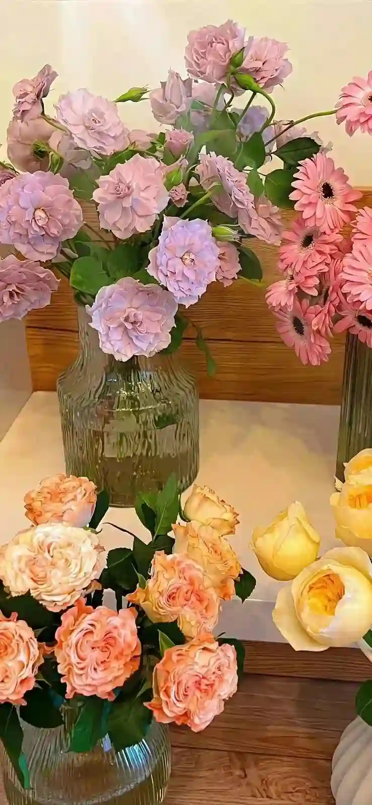 壁纸 ​​​​​​​​​​​​​| iOS26 全面屏壁纸