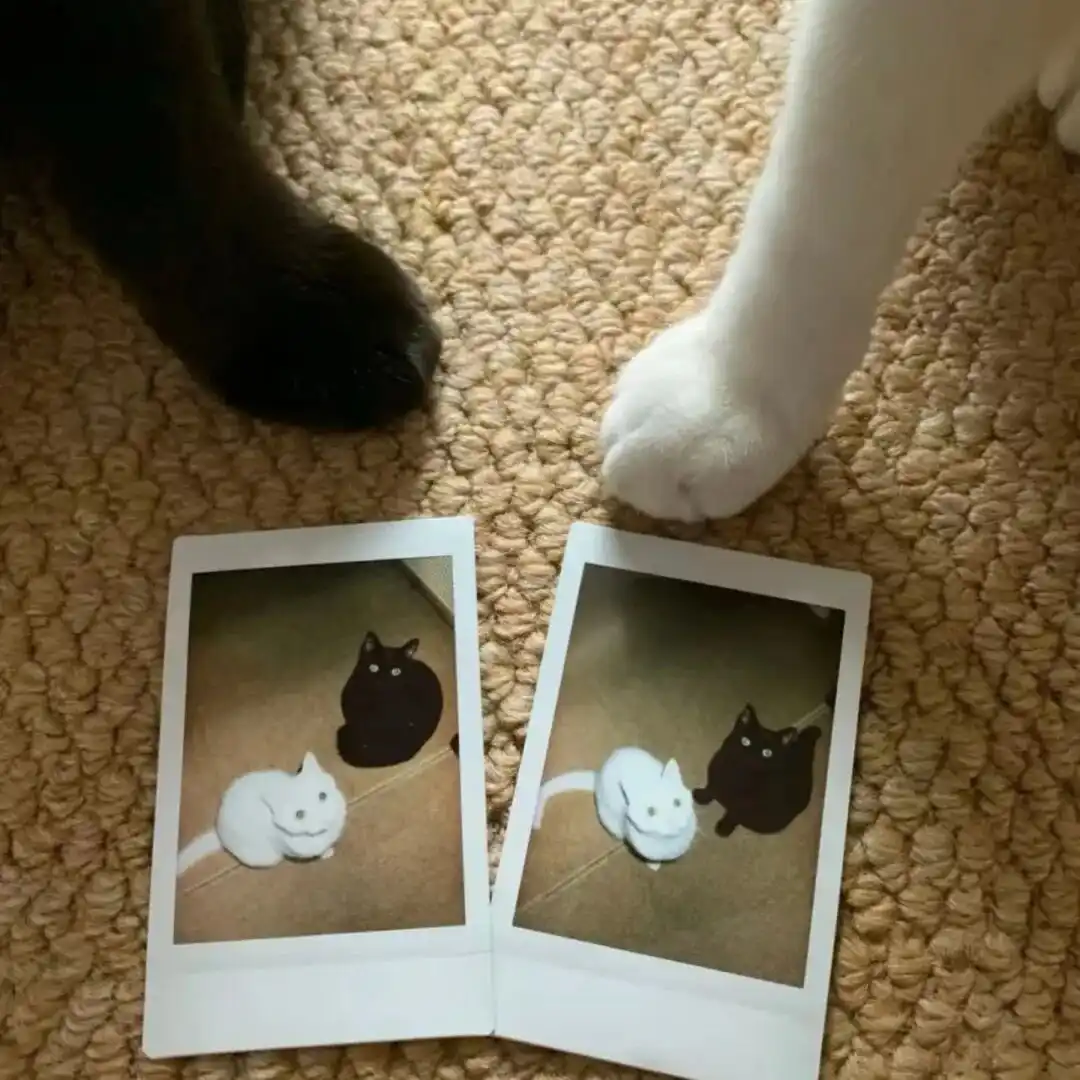 背景图 | 𝑾𝒆𝑪𝒉𝒂𝒕背景图