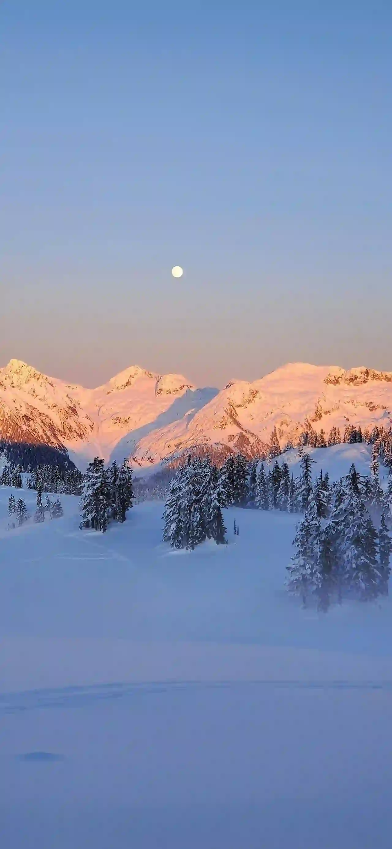 壁纸｜雪景壁纸