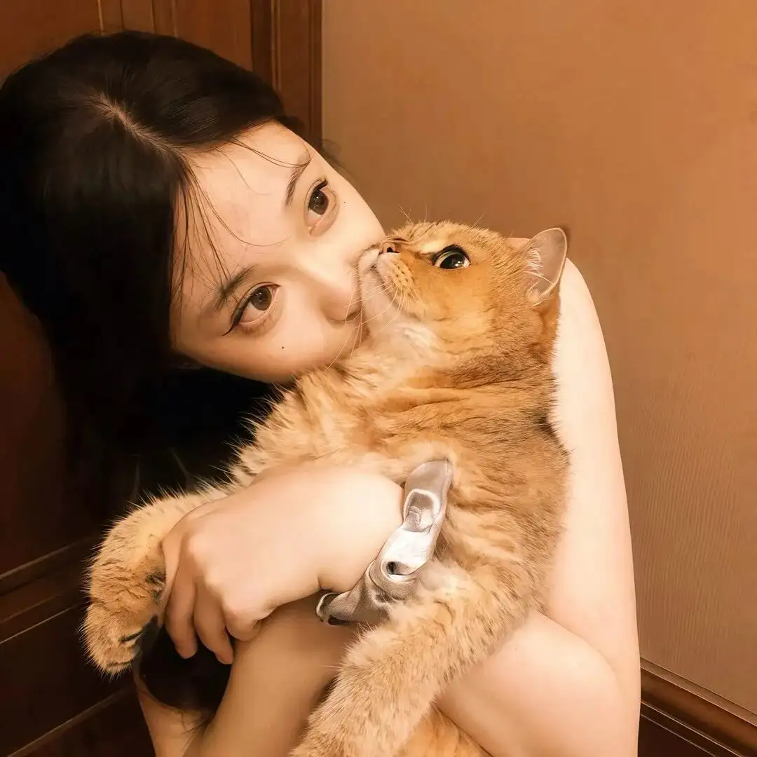 头像｜推荐巨好看的𝙒𝙚𝘾𝙝𝙖𝙩头像