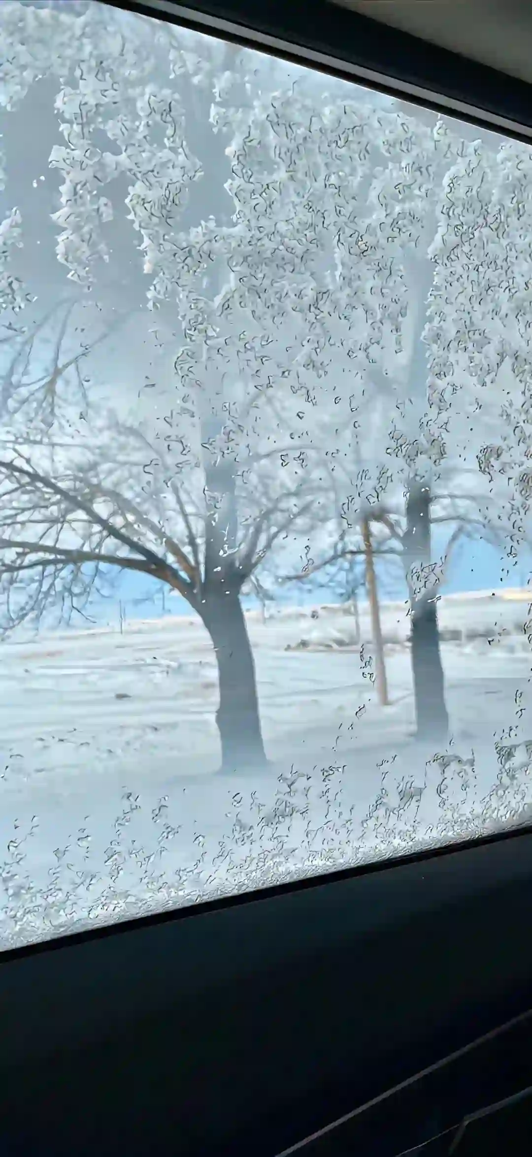 壁纸 ​​​​​​​​​​​​​| 4K全面屏超高清壁纸