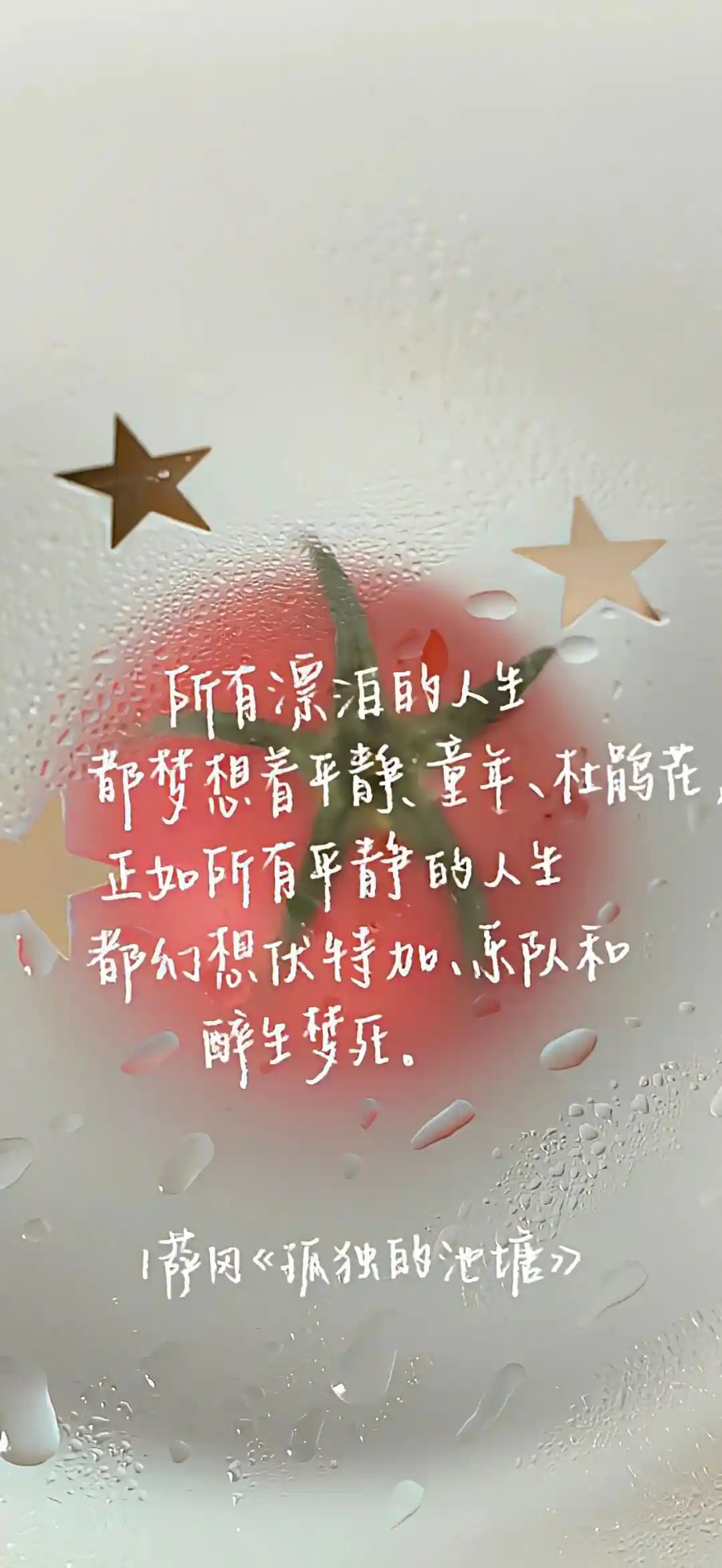 壁纸 ​​​​​​​​​​​​​| 4K全面屏超高清壁纸