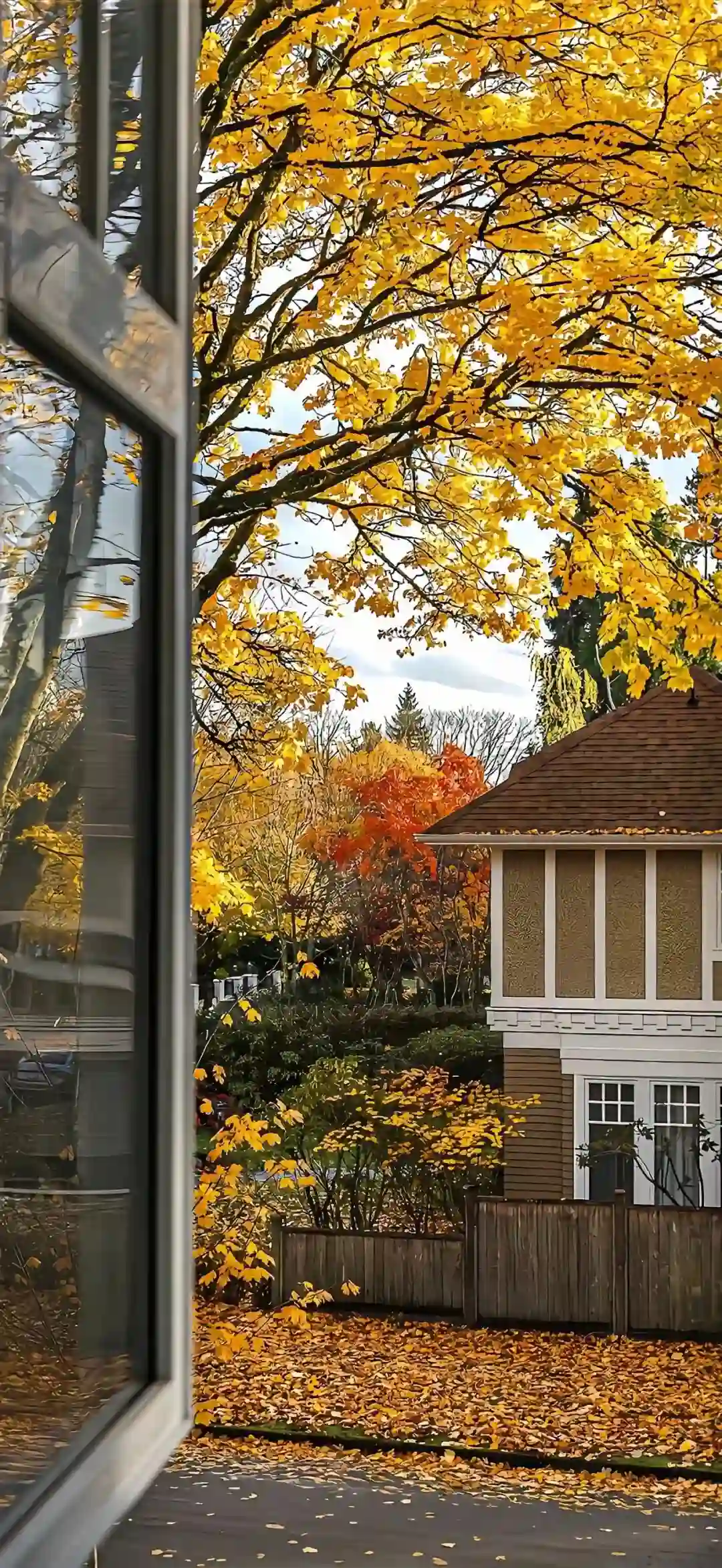 壁纸 ​​​​​​​​​​​​​| 4K全面屏超高清壁纸