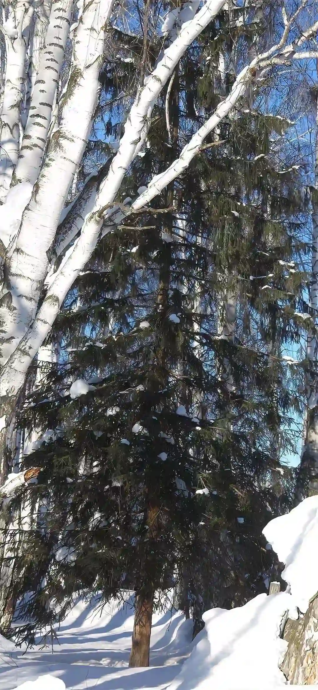 壁纸 ​​​​​​​​​​​​​| 4K全面屏超高清壁纸