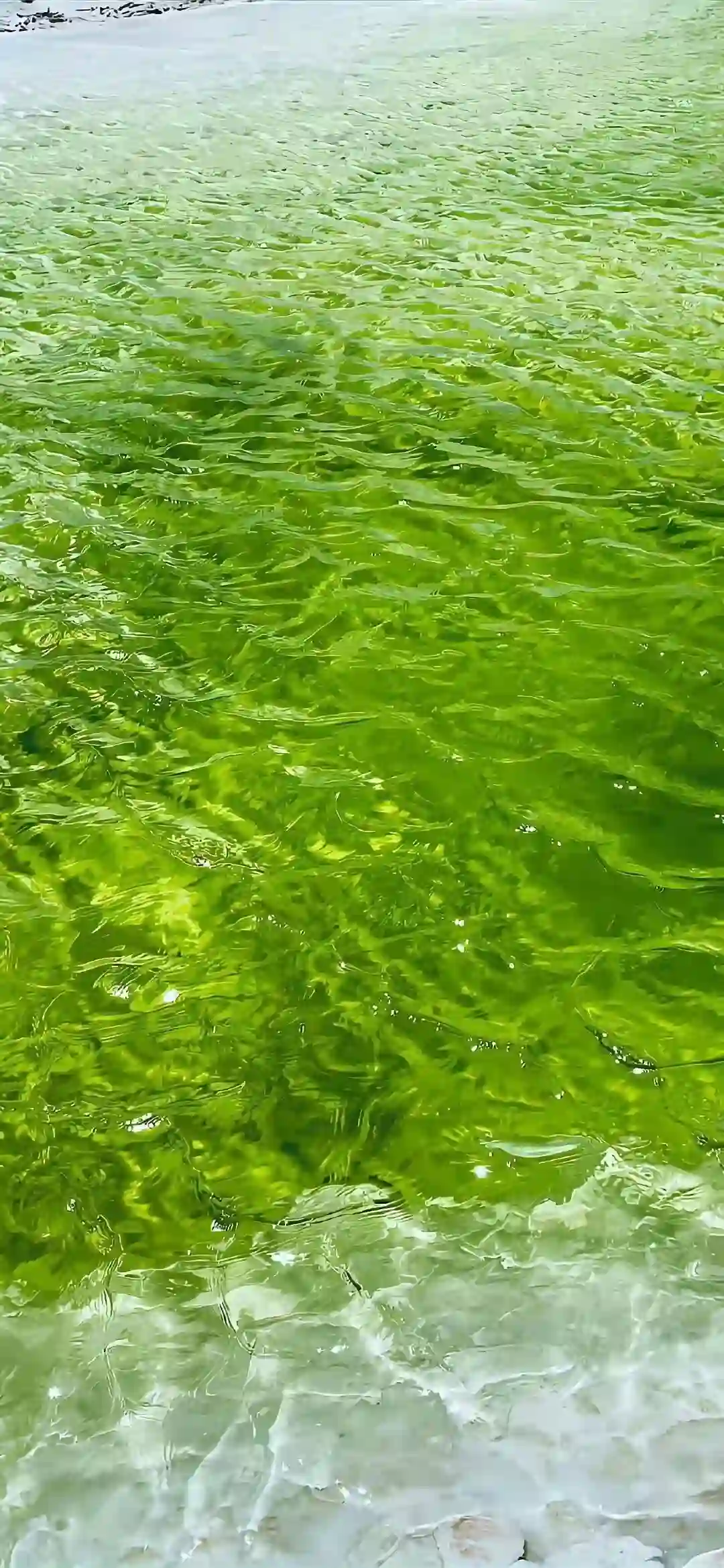 壁纸 ​​​​​​​​​​​​​| 4K全面屏超高清壁纸