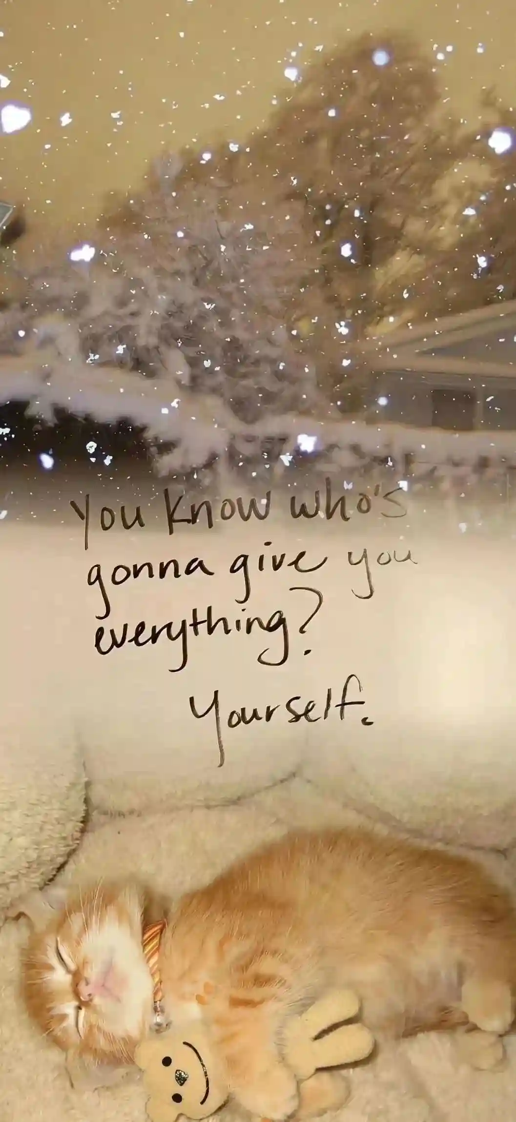 壁纸 ​​​​​​​​​​​​​| 4K全面屏超高清壁纸