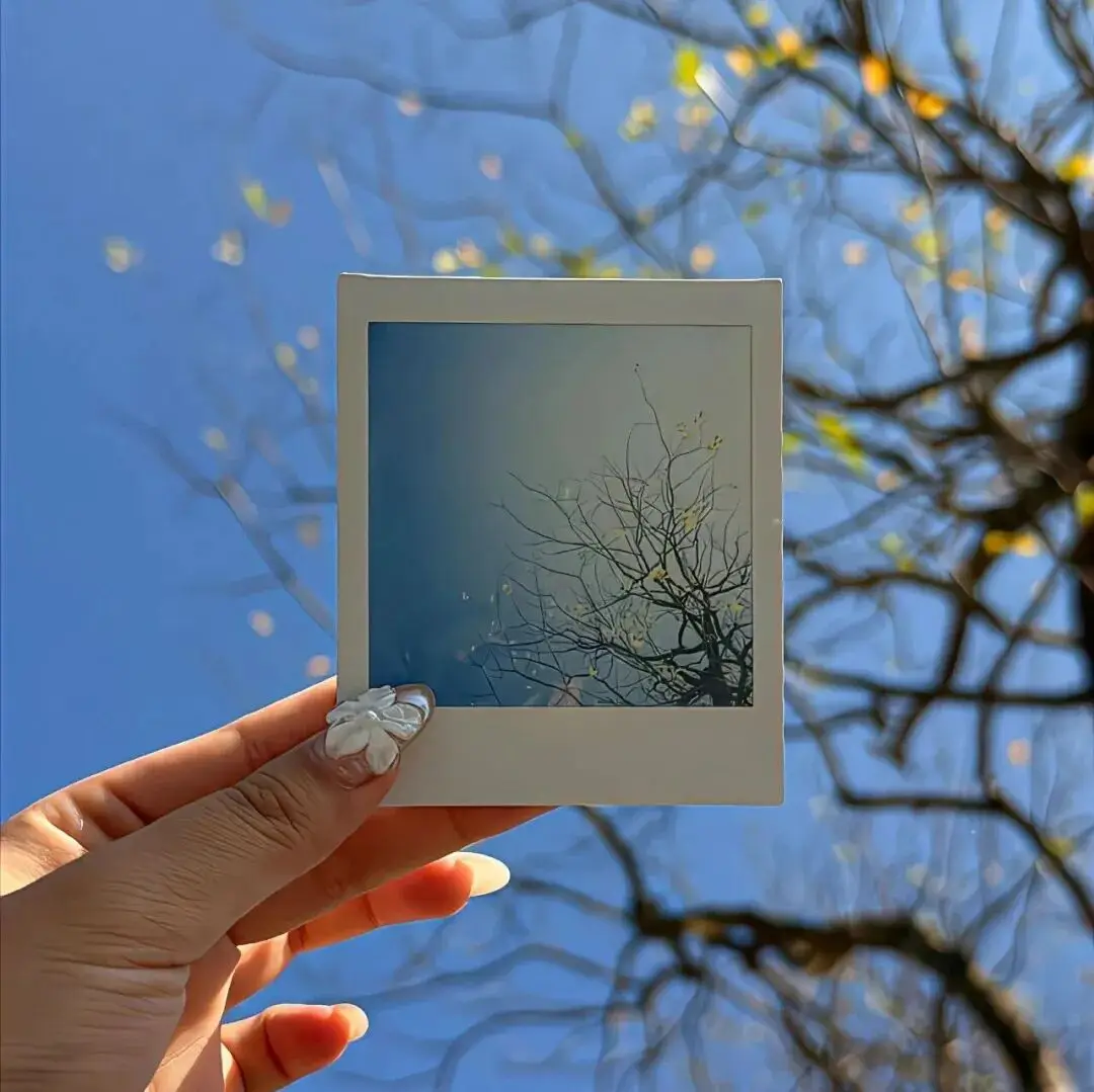 背景图 | 𝑾𝒆𝑪𝒉𝒂𝒕背景图