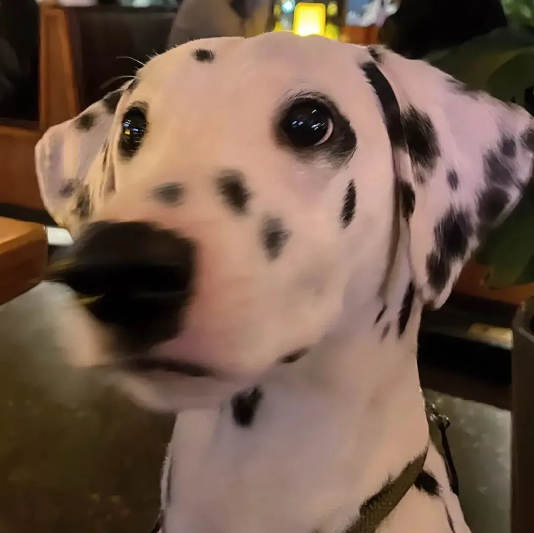 头像｜微信头像 超心动