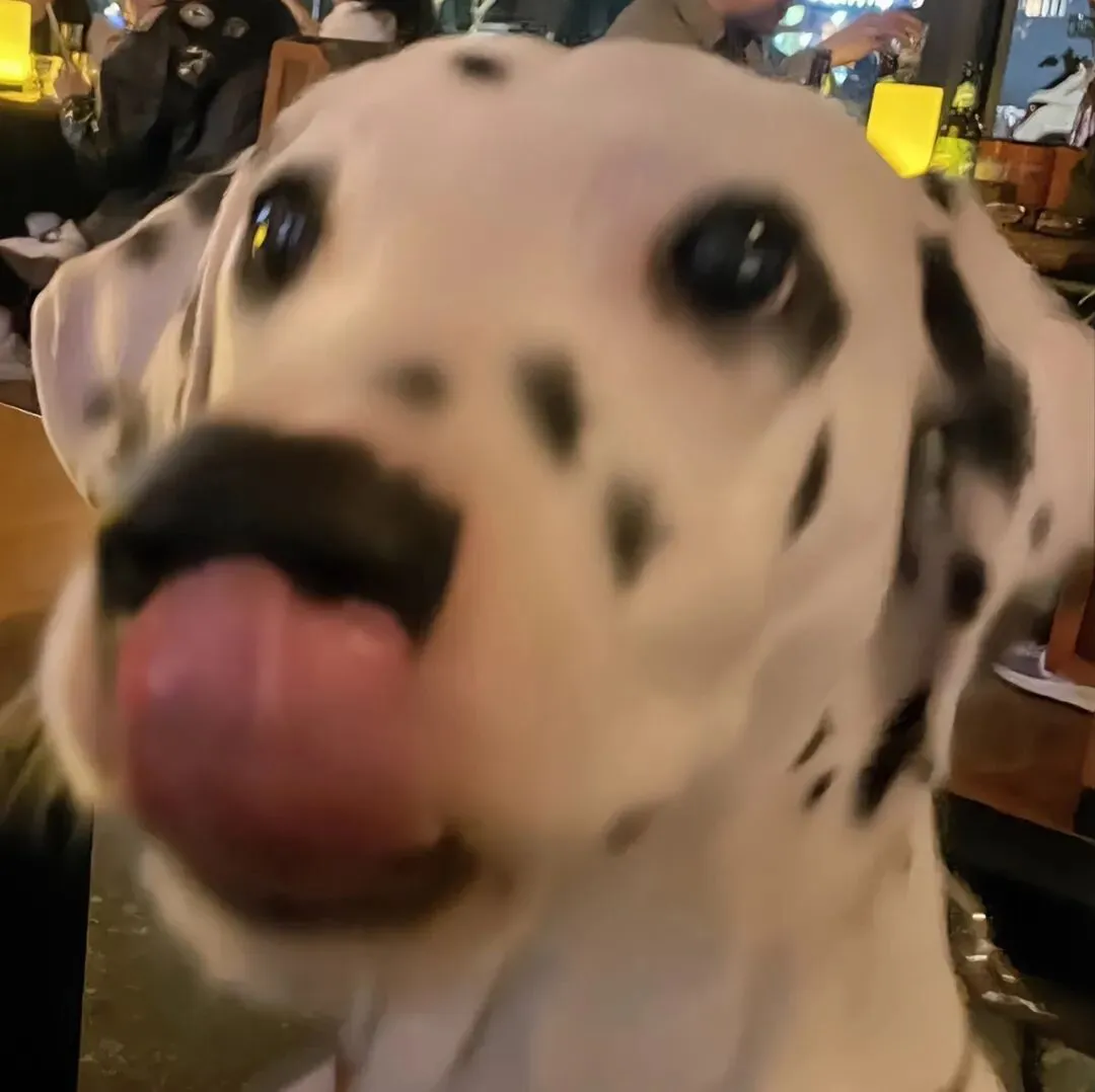 头像｜微信头像 超心动