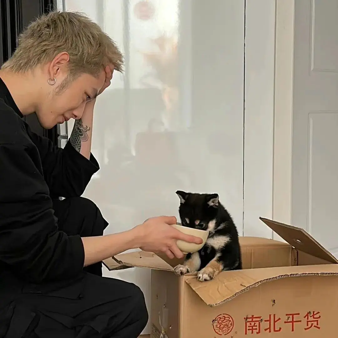 头像｜微信头像 超心动