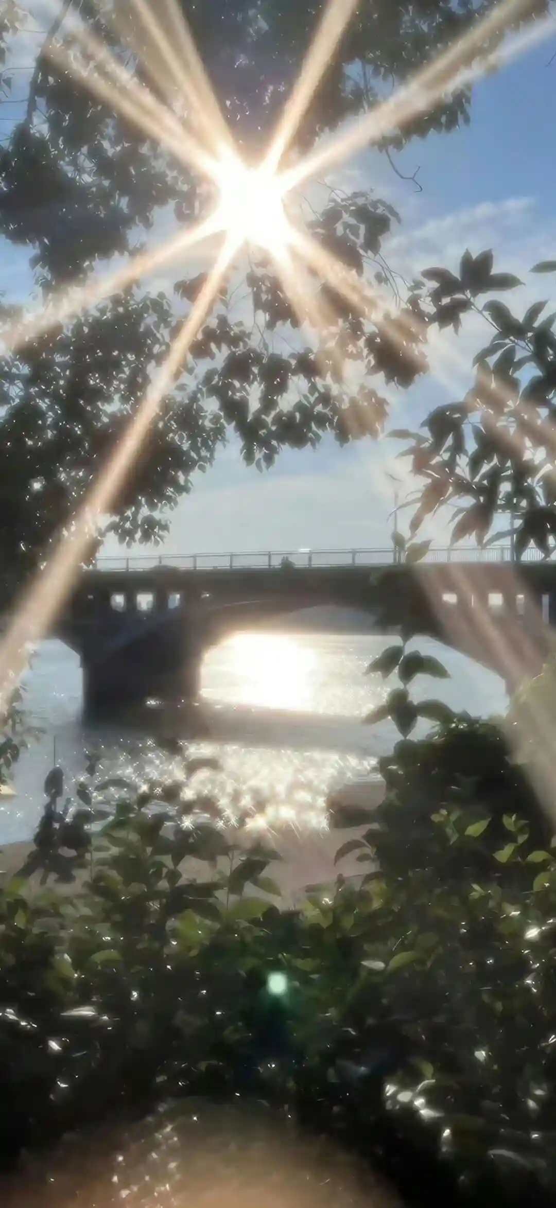 壁纸 ​​​​​​​​​​​​​| 4K全面屏超高清壁纸