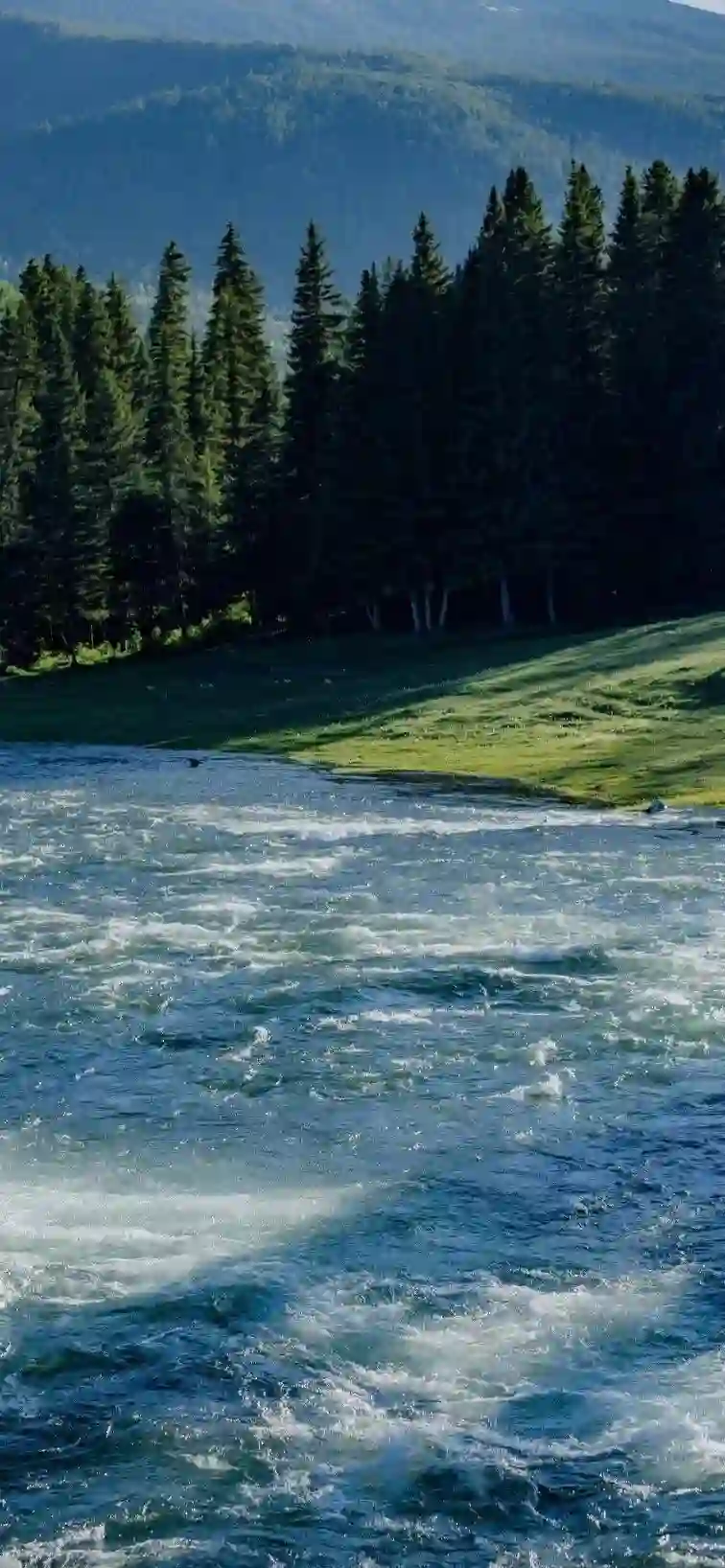 壁纸 ​​​​​​​​​​​​​| 4K全面屏超高清壁纸