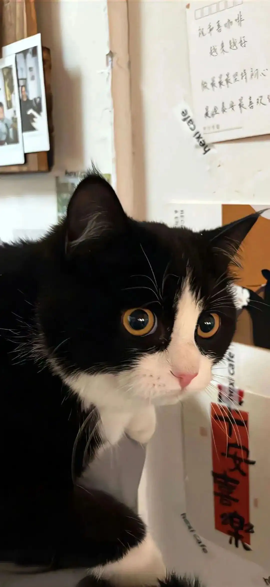 壁纸 ​​​​​​​​​​​​​| 4K全面屏超高清壁纸