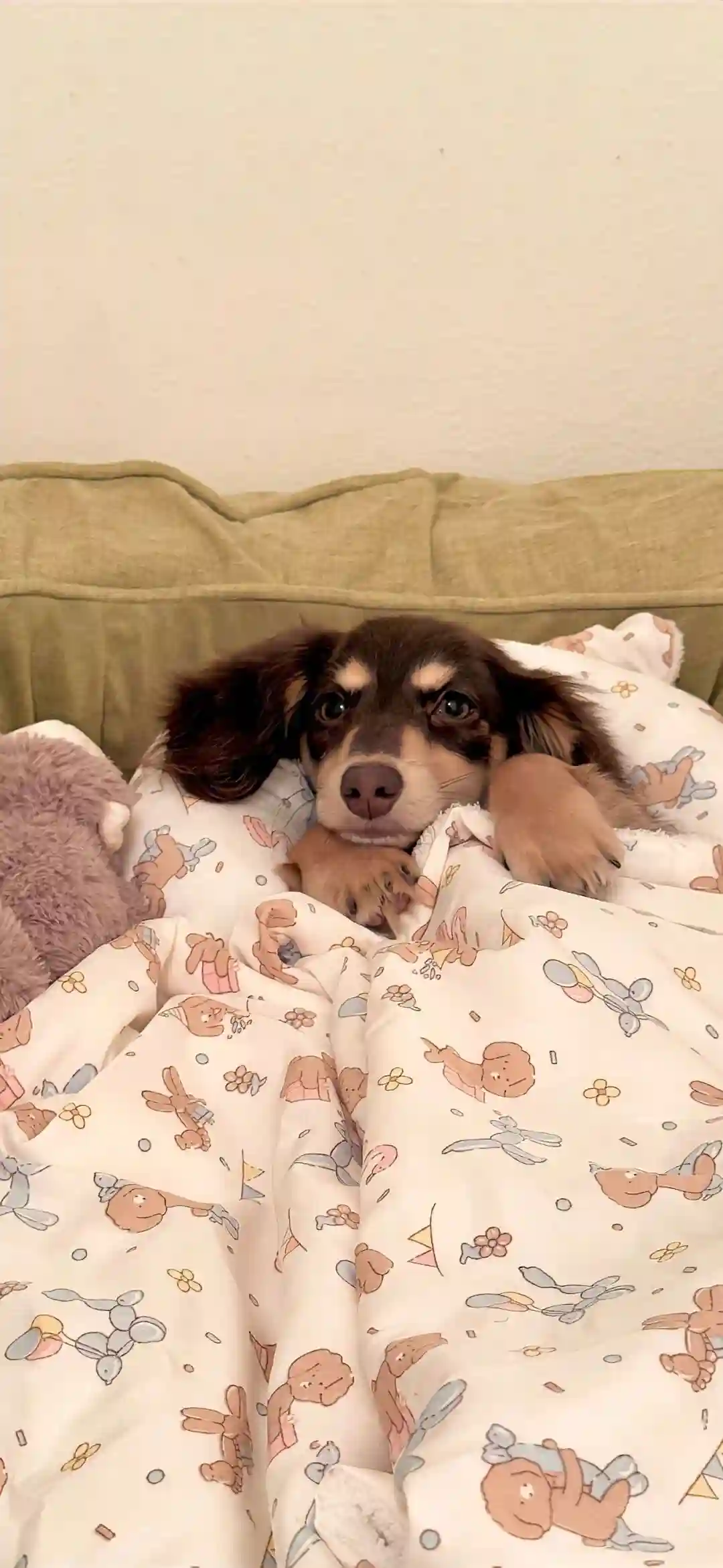 壁纸 ​​​​​​​​​​​​​| 30张 iOS壁纸