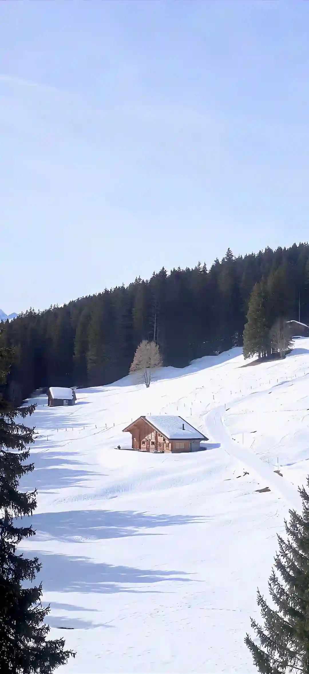 壁纸 ​​​​​​​​​​​​​| 30张 iOS壁纸