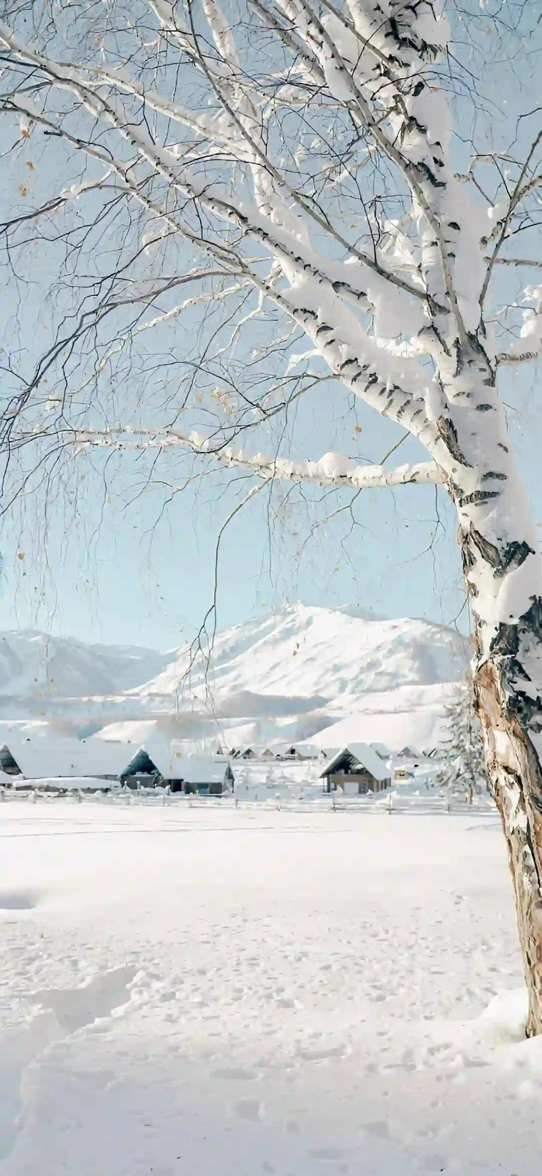 壁纸 ​​​​​​​​​​​​​| 30张 iOS壁纸