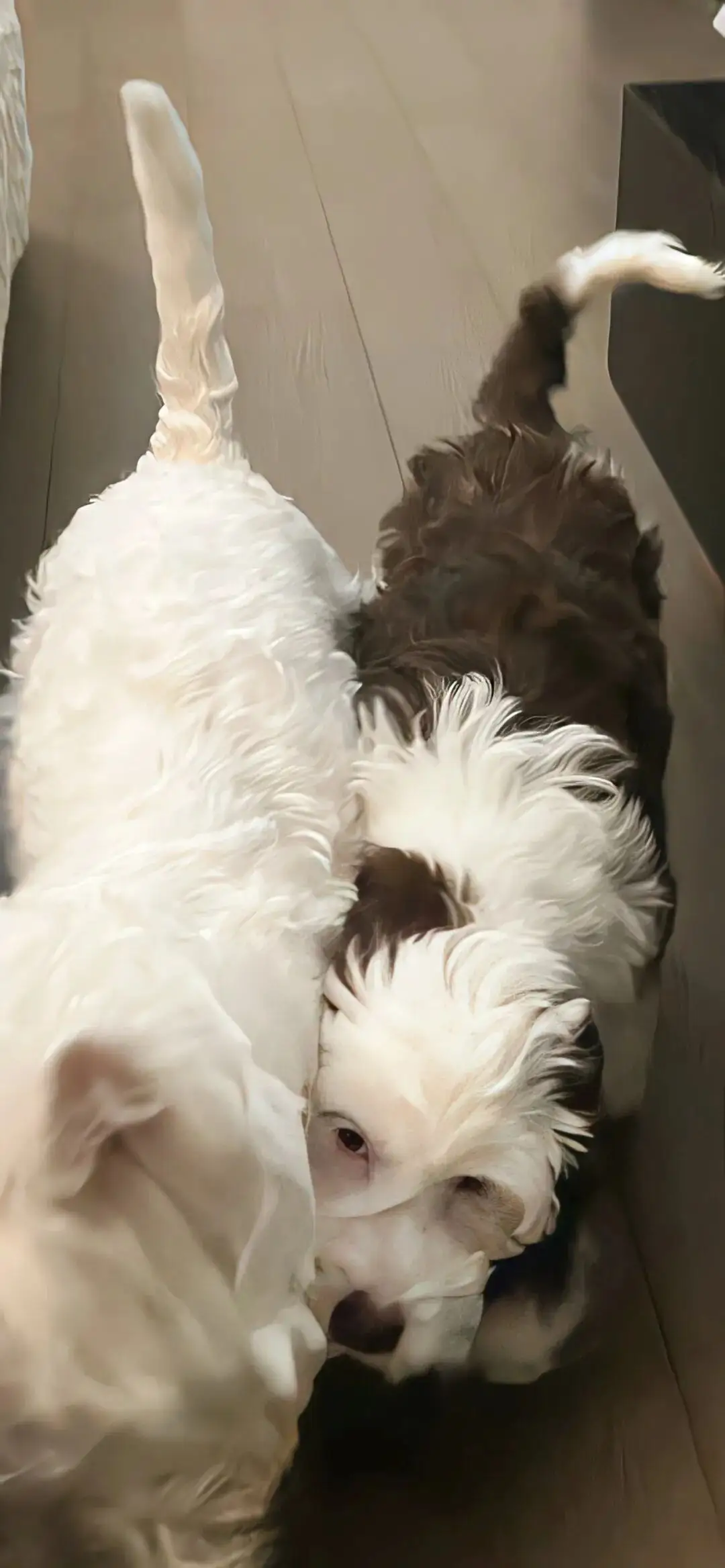 壁纸 ​​​​​​​​​​​​​| 30张 iOS壁纸