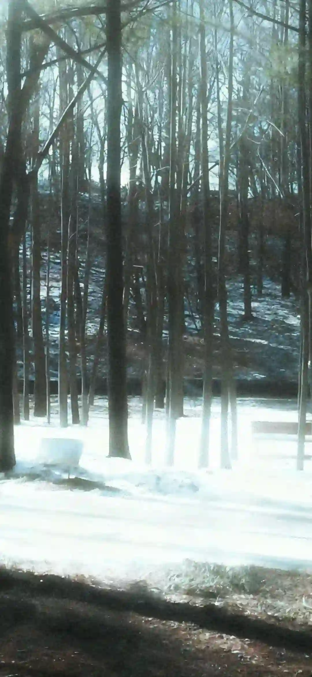 壁纸 ​​​​​​​​​​​​​| 30张 iOS壁纸