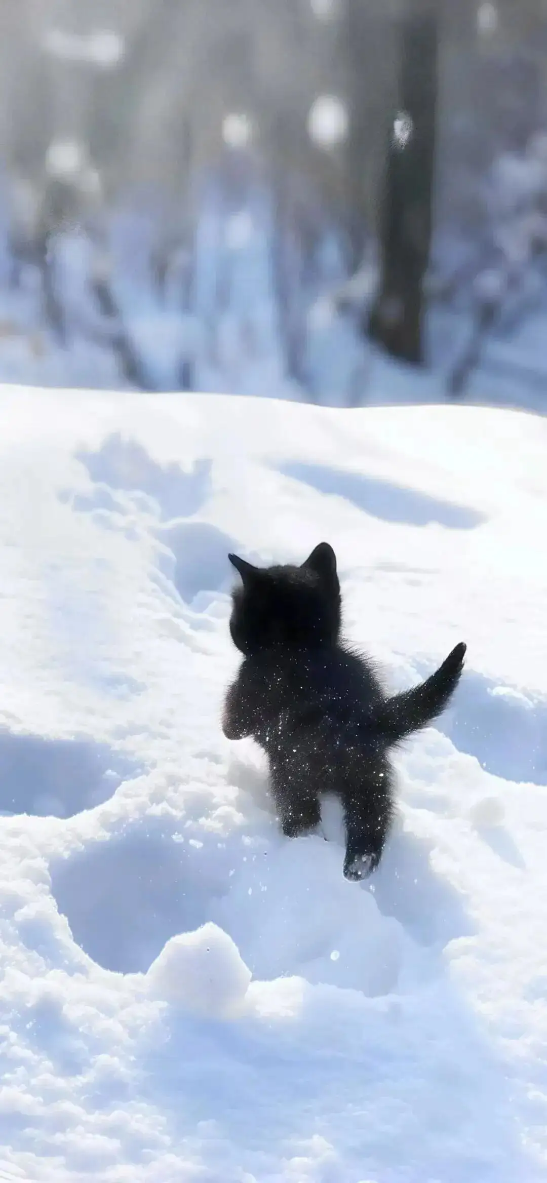 壁纸 ​​​​​​​​​​​​​| 30张 iOS壁纸