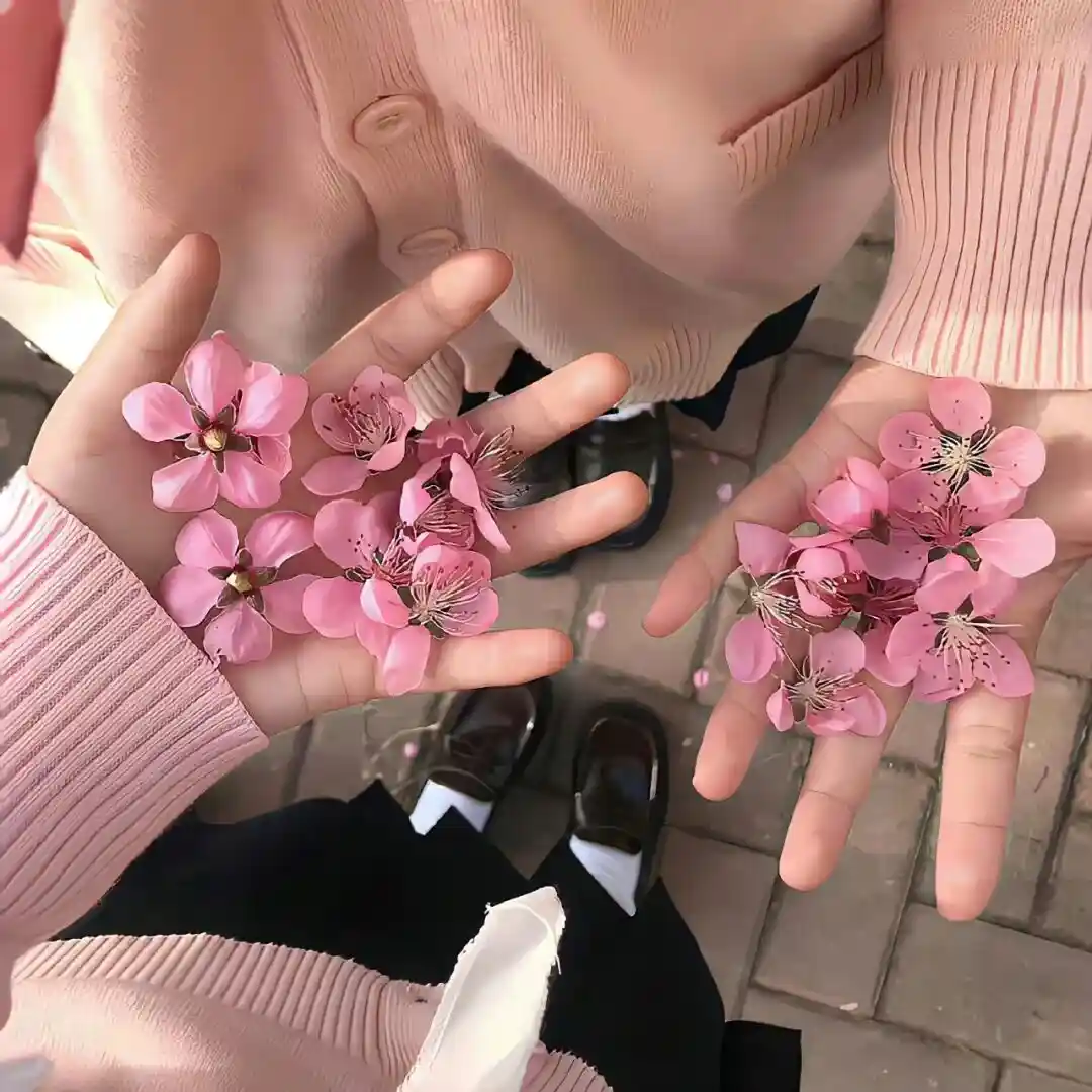 背景图 | 𝑾𝒆𝑪𝒉𝒂𝒕背景图