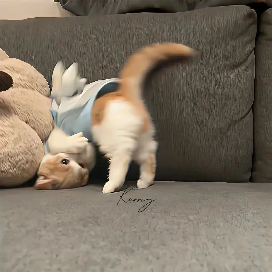 背景图 | 𝑾𝒆𝑪𝒉𝒂𝒕背景图