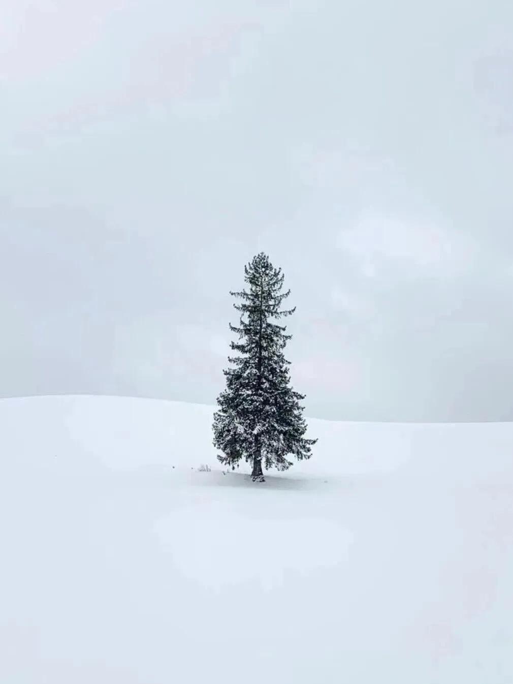 背景图 | 𝑾𝒆𝑪𝒉𝒂𝒕背景图