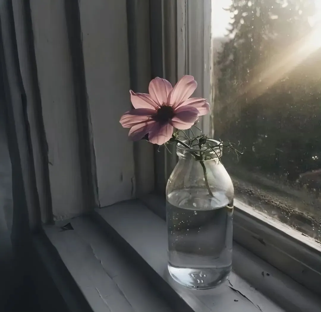 背景图 | 𝑾𝒆𝑪𝒉𝒂𝒕背景图