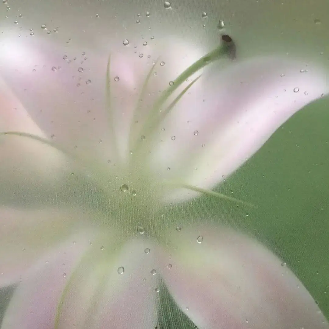 背景图 | 𝑾𝒆𝑪𝒉𝒂𝒕背景图