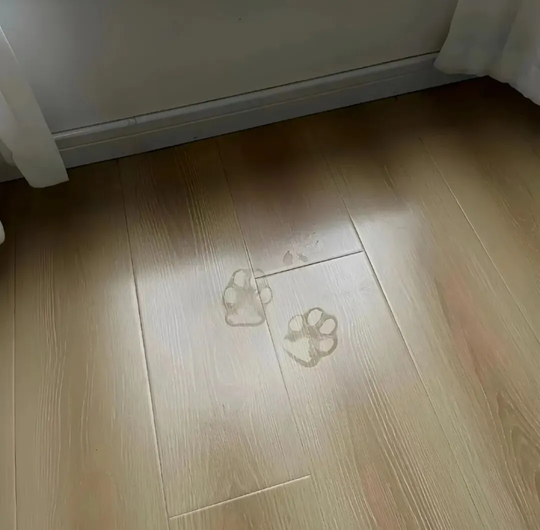 背景图 | 𝑾𝒆𝑪𝒉𝒂𝒕背景图