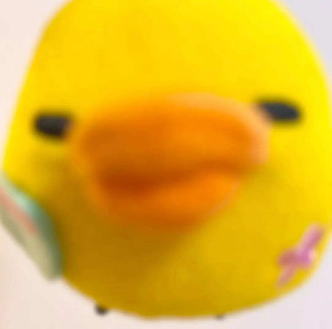 头像 | 鼻孔鸡积累