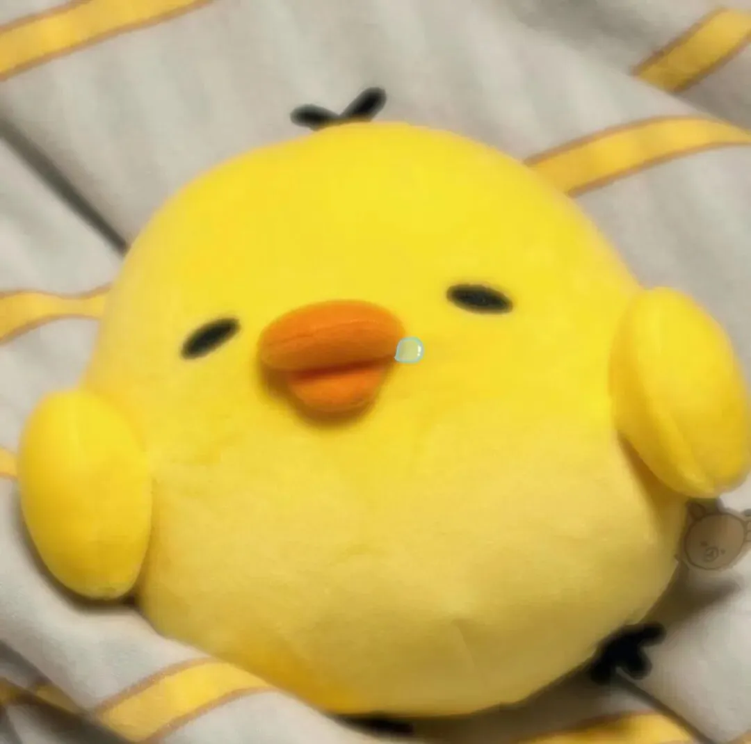 头像 | 鼻孔鸡积累