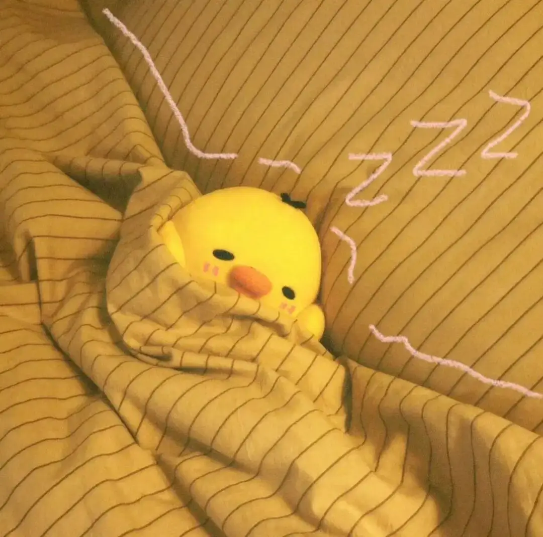 头像 | 鼻孔鸡积累